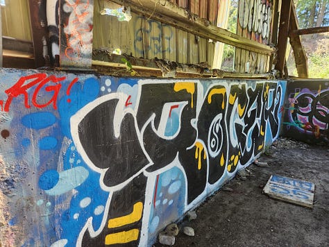 Graffiti covers skate ramps, old buildings and an underpass.