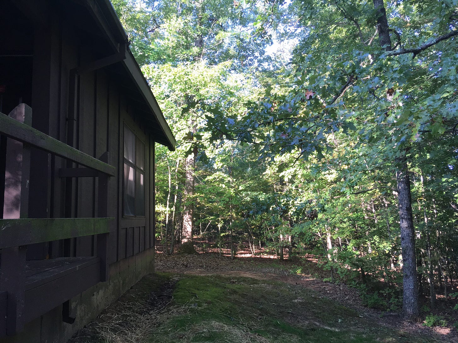 A cabin painted dark brown next to sun-lit trees