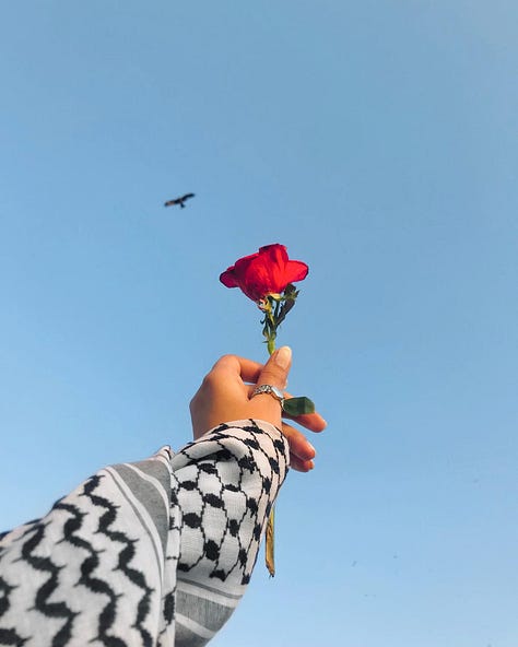#1 Love/Hate knuckle rings #2 carnation held by Palestinian #3 Black Lady Justice #4 Uh huh written in honey #5 Ballet dancers in class #6 Senegal immigrant on subway