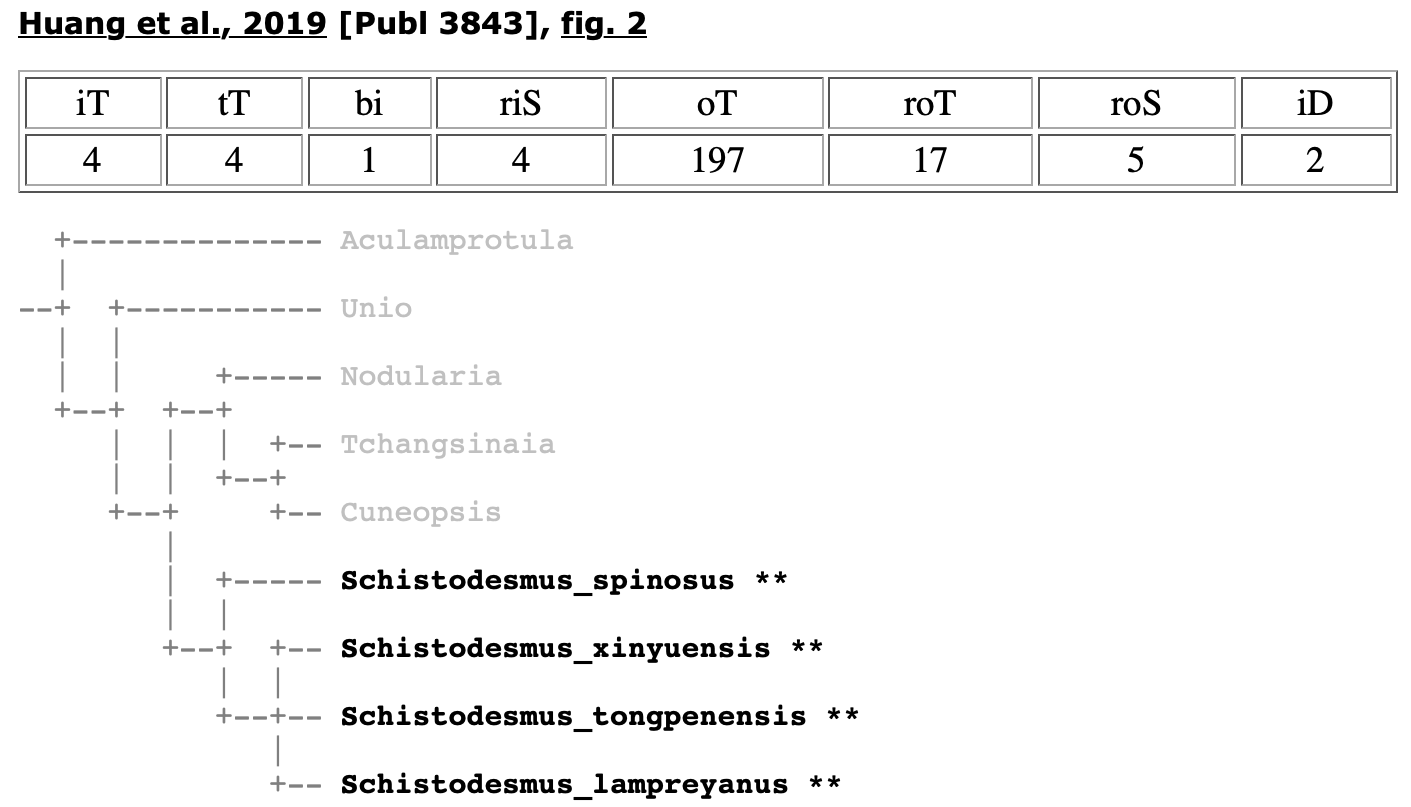 Screen shot from the Schistodesmus Cladomics page from the MUSSELpdb showing the relevant branch of the cladogram in Huang et al. (2019: Figure 2).