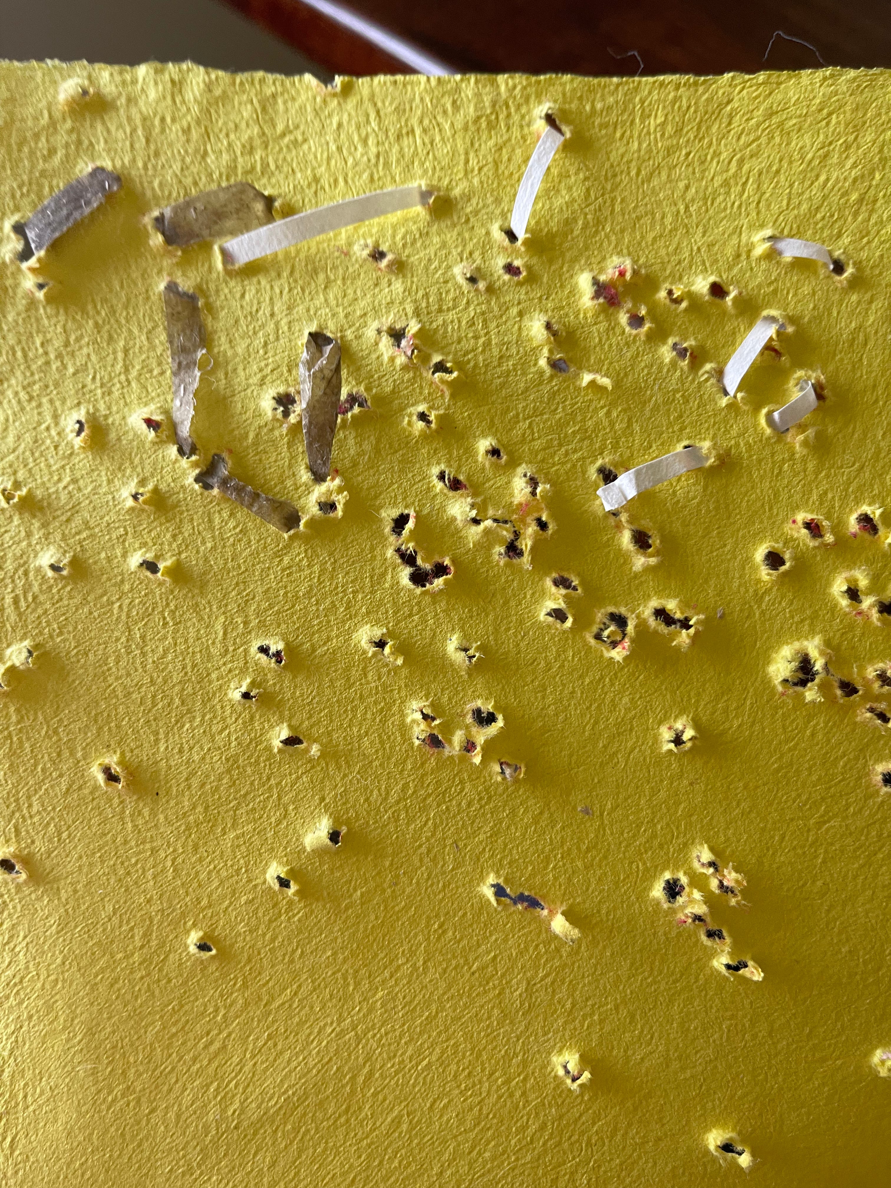 Cover image for Variations on Repair