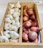 onions_garlic onions_garlic