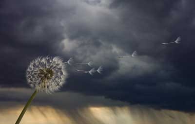 calm before the storm - Clip Art Library