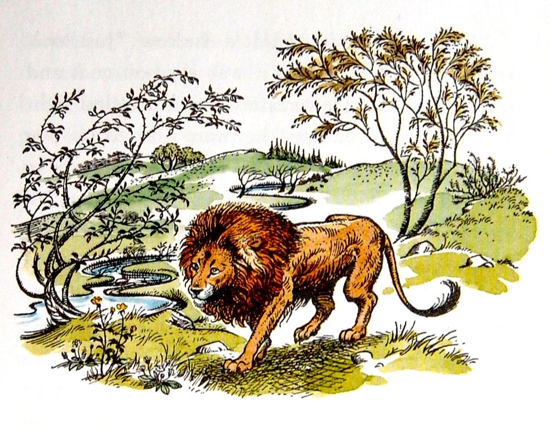 Aslan | The Chronicles of Narnia Wiki | Fandom Aslan | The Chronicles of Narnia Wiki | Fandom