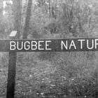 Who IS Henry Bugbee? | James Hatley