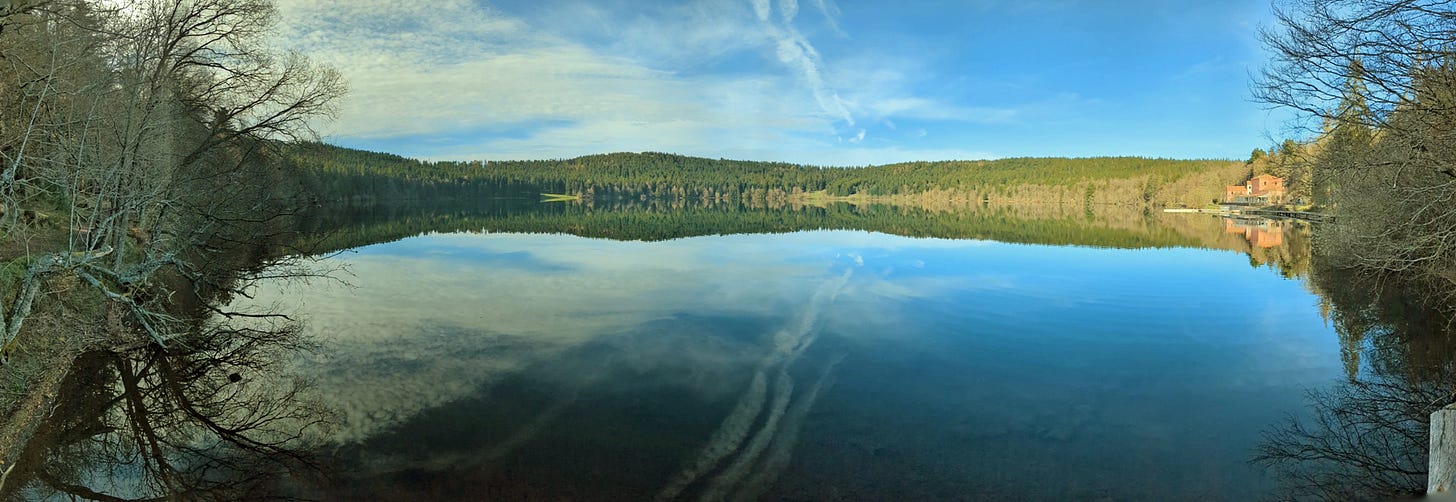Circular lake below pine trees