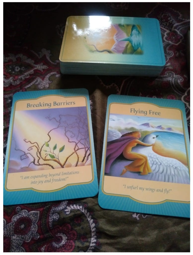 A Message from the Universe - Breaking Barriers & Flying Free A Message from the Universe - Breaking Barriers & Flying Free