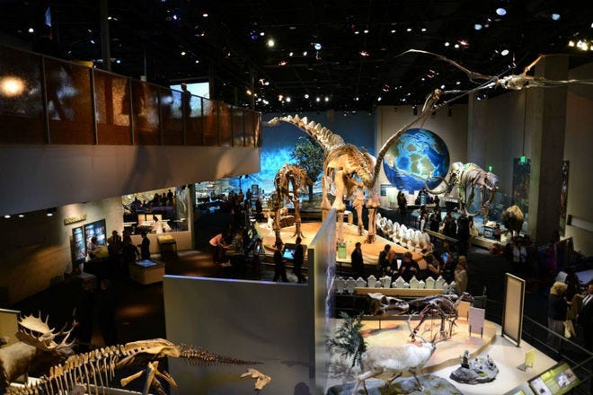 Perot Museum of Nature and Science is one of the very best things to do in  Dallas