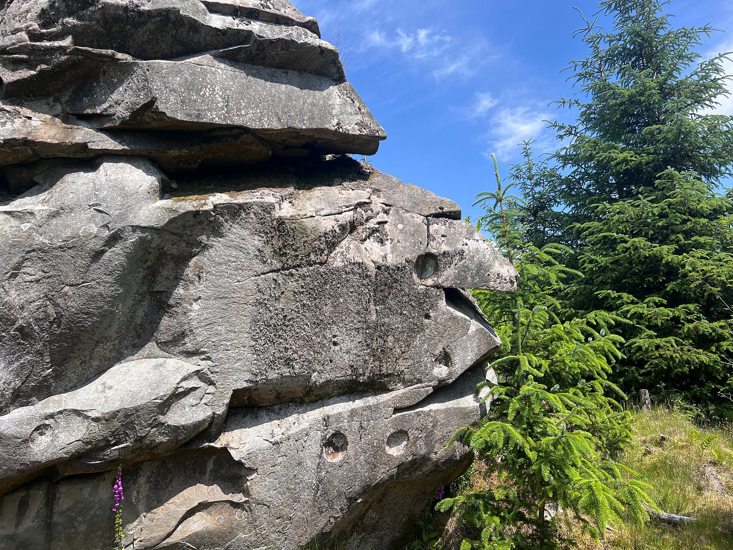 A Rock in Scotland - by Dave Stone - Eternal Echoes