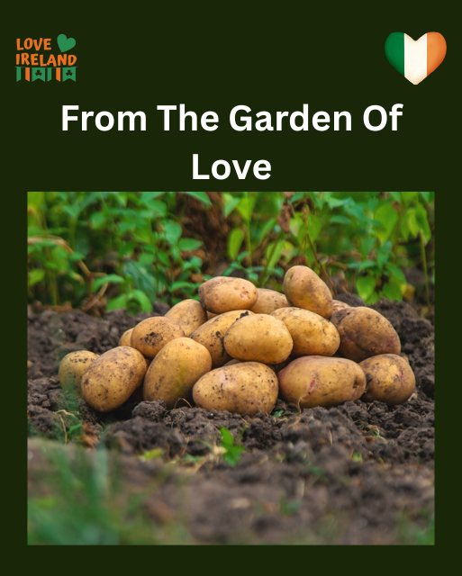 May be an image of text that says "LOVE IRELAND HAJIA From The Garden Of Love"