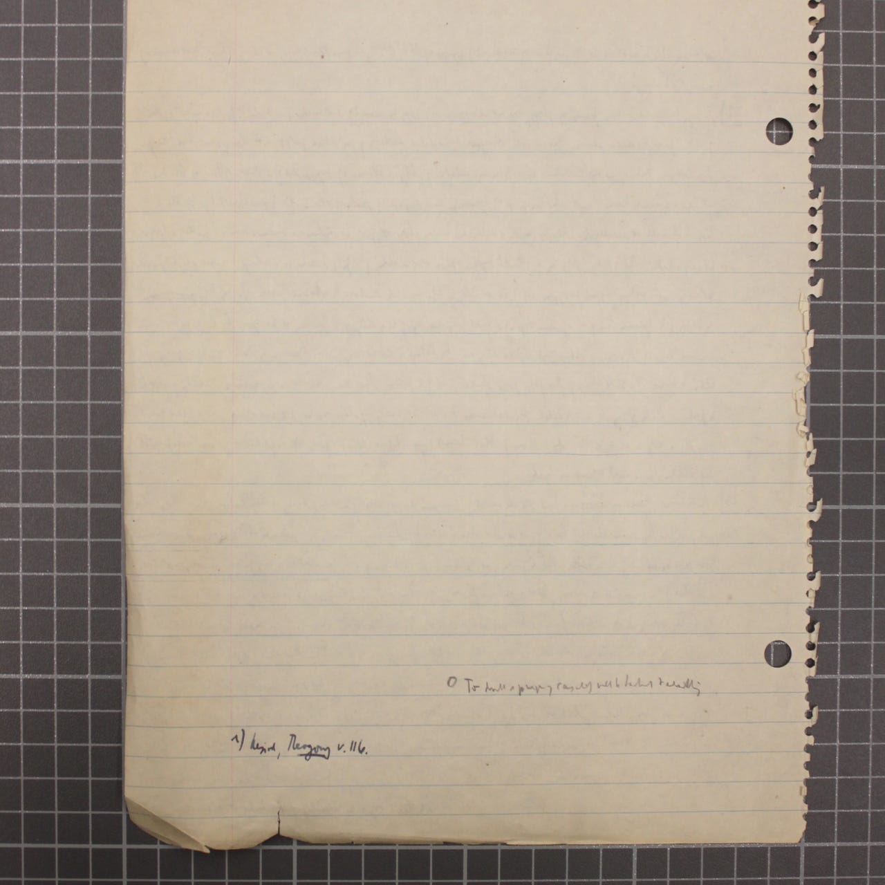 Leo Strauss Foundation