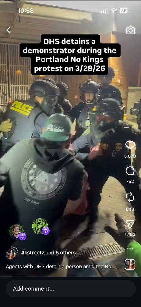 9 screen grabs from video showing ICE agents pursuing, hitting, and detaining protester in pink frog costume. The last three images show agent brandishing gun at bystanders.