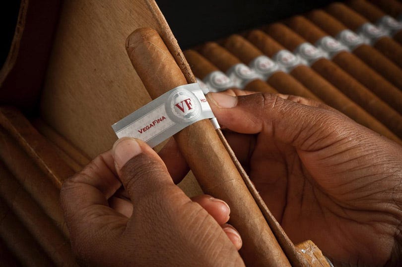 VegaFina | Phoenicia Fereos Hellas