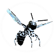 AI News Fly's avatar
