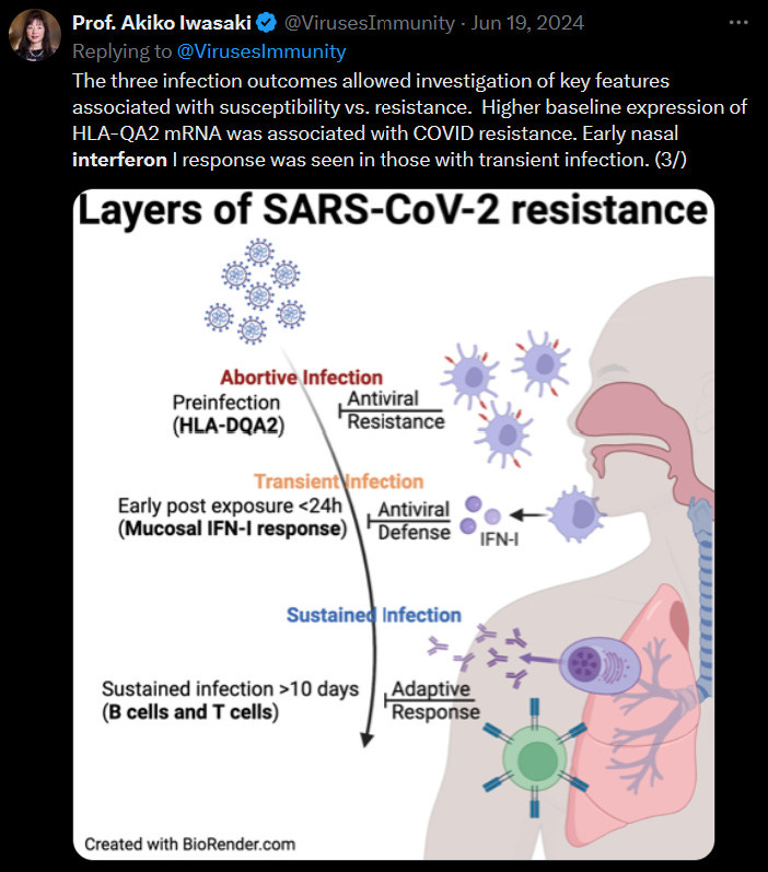 Screenshot of tweet from Prof. Akiko Iwasaki (@VirusesImmunity) dated June 19th, 2024. Text says: "The three infection outcomes allowed investigation of key features associated with susceptibility vs. resistance.  Higher baseline expression of HLA-QA2 mRNA was associated with COVID resistance. Early nasal interferon I response was seen in those with transient infection."   This image demonstrates different types of mucosal responses that can stop or limit infection. The image is titled: "Layers of SARS-CoV-2 resistance."   The image shows a diagram of half of a person, top of head to torso. To the left they show a curved downward arrow and they demonstrate phases on the left of the arrow and protections on the right.   The first phase is called "Abortive Infection..."  and it starts with "Preinfection (HLA-DQA2)" on the left,  which is met by "Antiviral Resistance" on the right.  Then it shows a second phase, "Transient Infection..."  where they show "Early post exposure <24h (Mucosal IFN-I response)" on the left,  met by "Antiviral Defense" on the right, adjacent to an image for "IFN-I".   The arrow then continues down to a third phase (the last phase shown), "Sustained Infection..."  which shows "Sustained infection >10 days (B cells and T cells)" on the left,  met by "Adaptive Response" on the right.