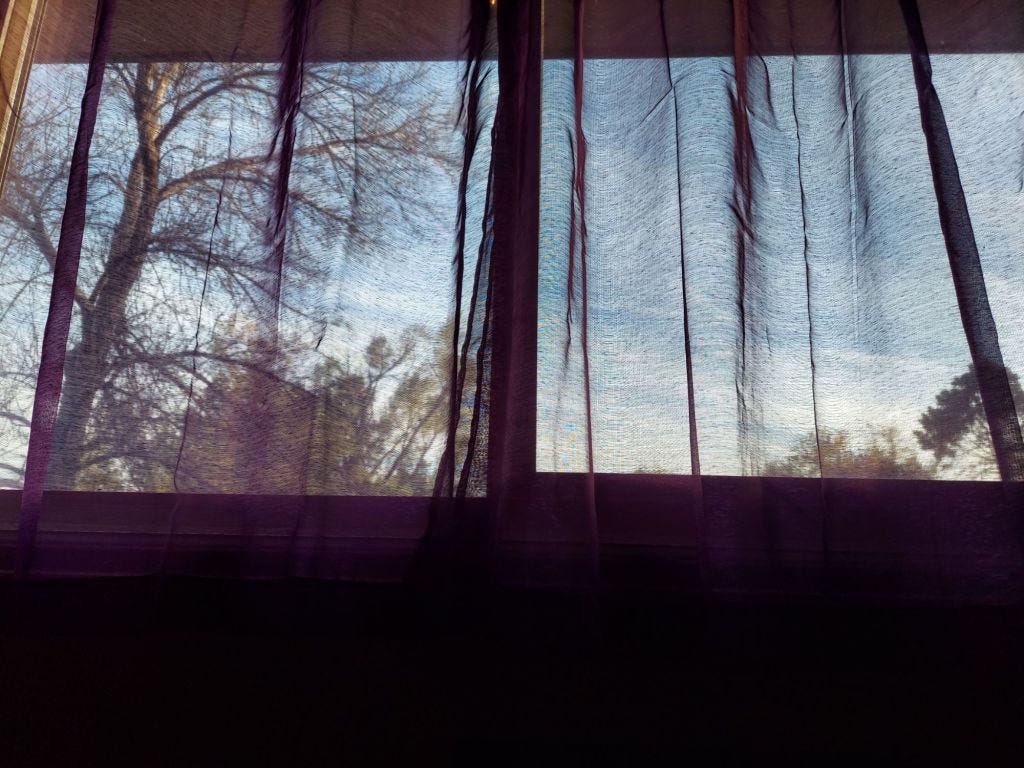 This image is a view of the outdoors through a window covered by sheer purple curtains. The sky is blue with wispy clouds, and leafless tree branches stretch across the scene. Sunlight filters through the fabric, casting a soft glow.