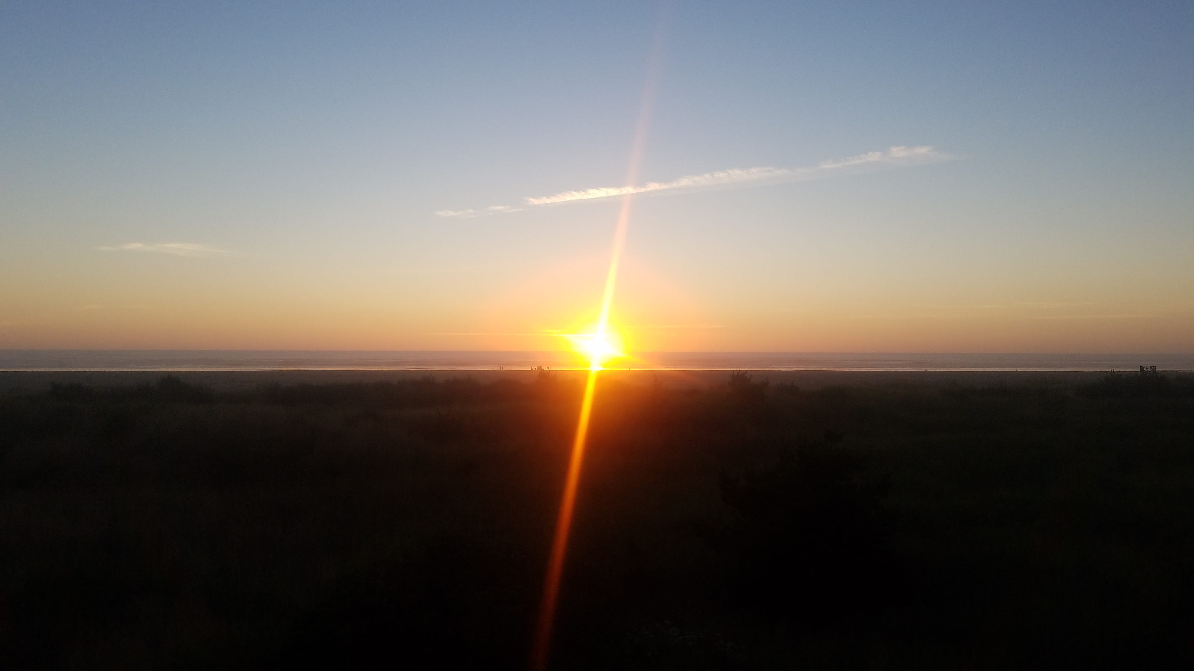 The Esoteric Butcher's Journal