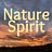 Nature :: Spirit — Kinship in a living world