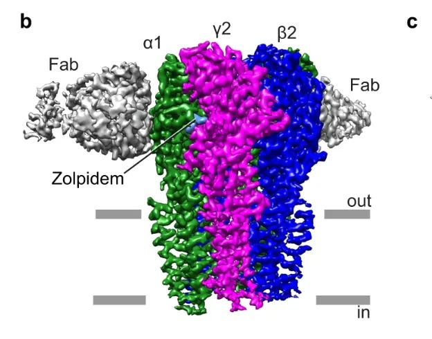 Benzodiazepines bind at the pocket formed between α and γ2 subunits of the GABA-A receptor (Zhu, S., Sridhar, A., Teng, J. et al. Structural and dynamic mechanisms of GABAA receptor modulators with opposing activities. Nat Commun 13, 4582 (2022)). progesterone for sleep
