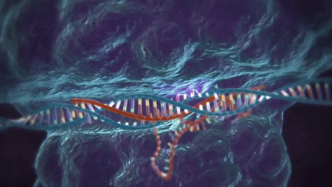 Crispr GIFs - Get the best GIF on GIPHY