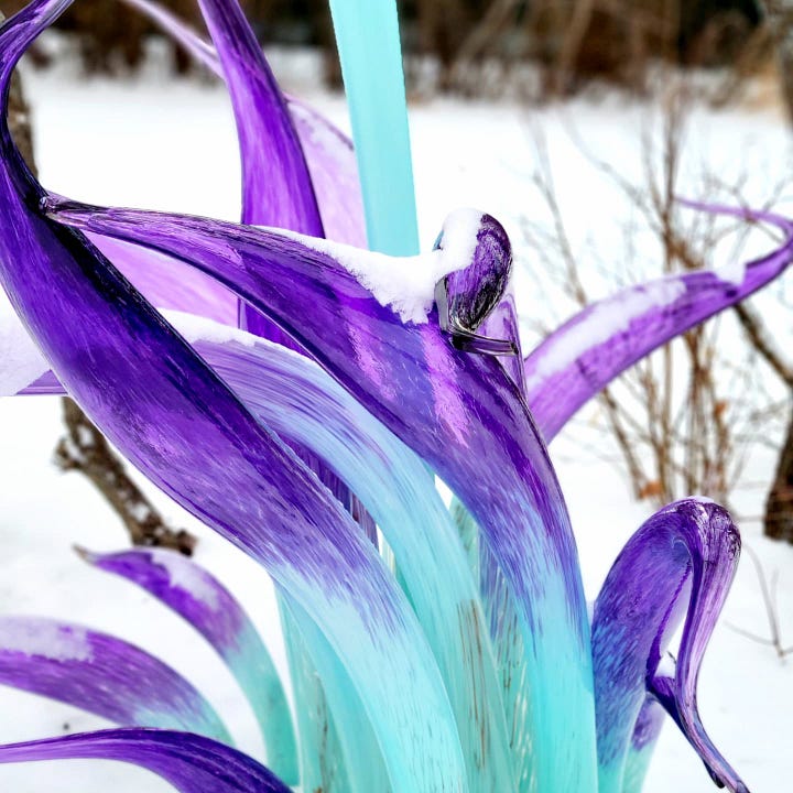 Glass sculptures on display at a glassblower's studio