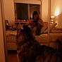 Carla's avatar