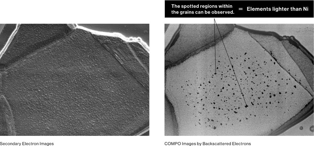 The spotted regions within the grains can be observed.=Elements lighter than Ni