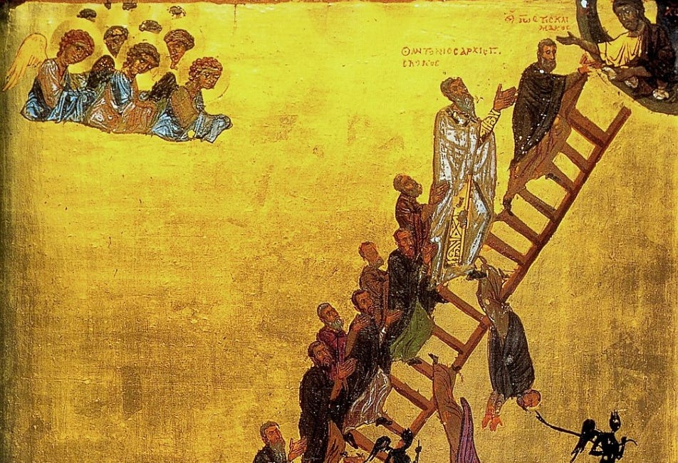 The Daily Ladder, S1:3