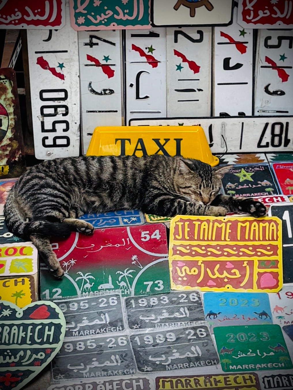 A striped street cat sleeping on a counter covered with colorful Marrakech license plates and stickers; a yellow “TAXI” sign rests behind the cat, suggesting a quiet pause in the city’s constant movement. A striped street cat sleeping on a counter covered with colorful Marrakech license plates and stickers; a yellow “TAXI” sign rests behind the cat, suggesting a quiet pause in the city’s constant movement.