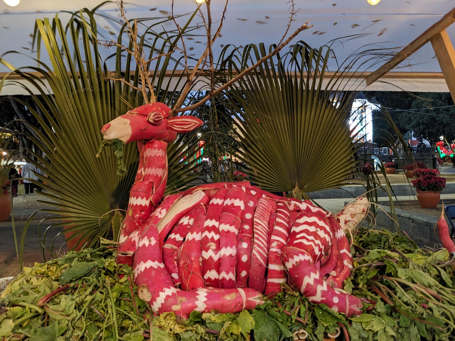 Reindeer with twig antlers and sitting in a bed of grass with is roughly carved out of red and white radishes.