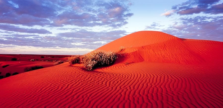 Simpson Desert.jpg