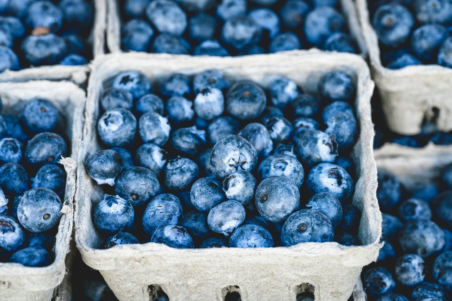 Blueberry Fruit on Gray Container · Free Stock Photo