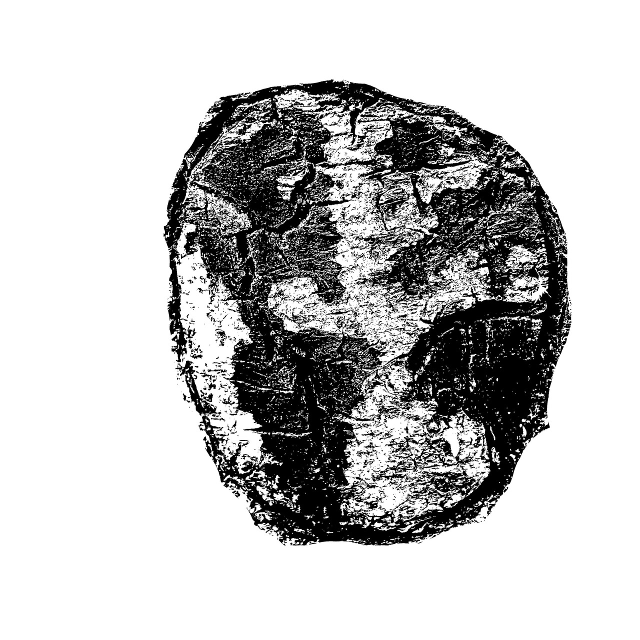 The Ecogeoglyphic Observer