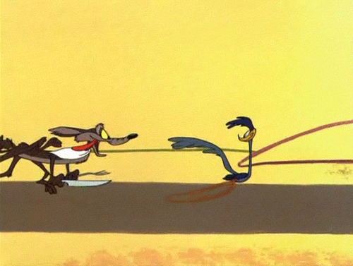 Roadrunner cartoons