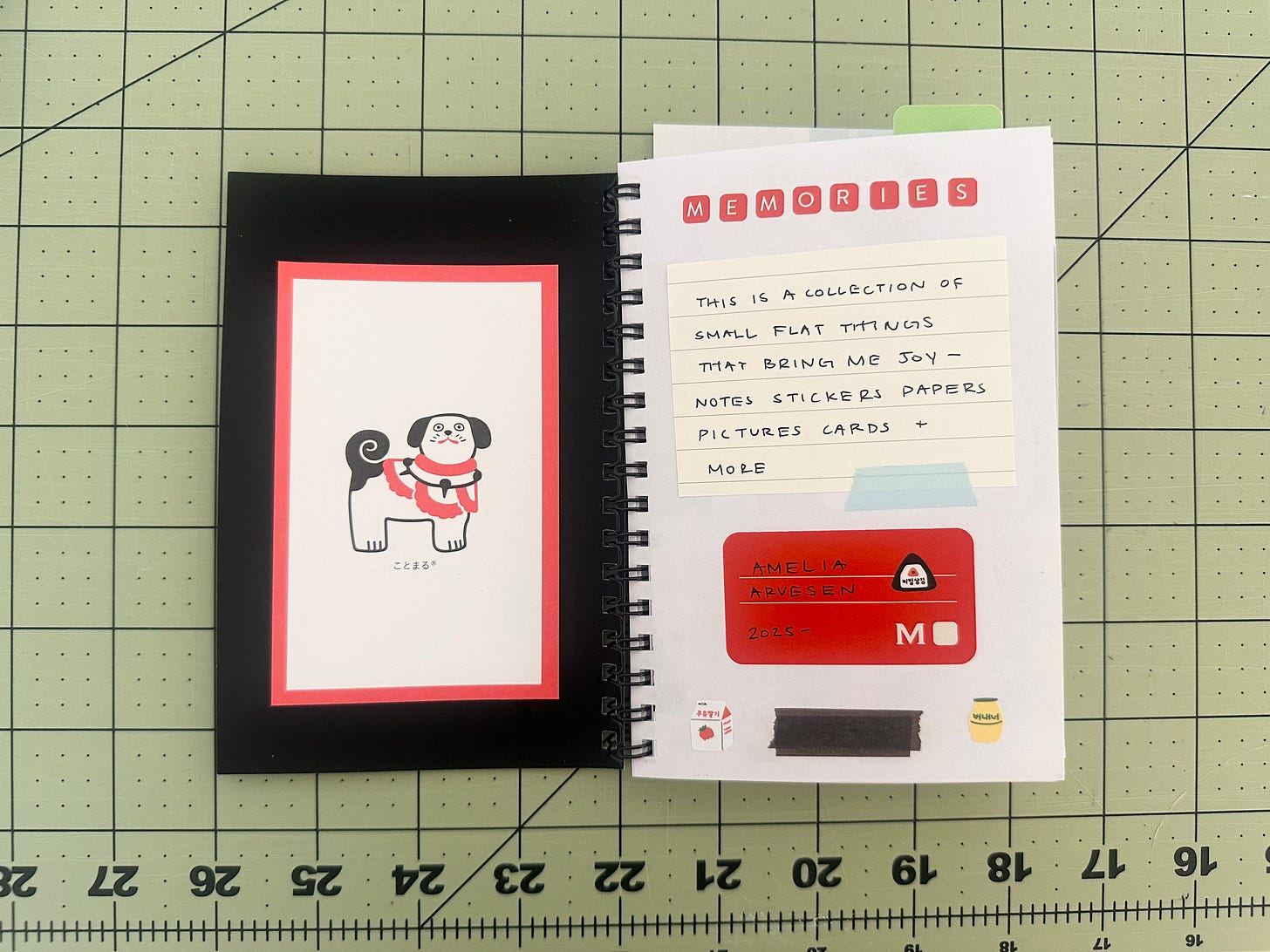 peek inside memory journal