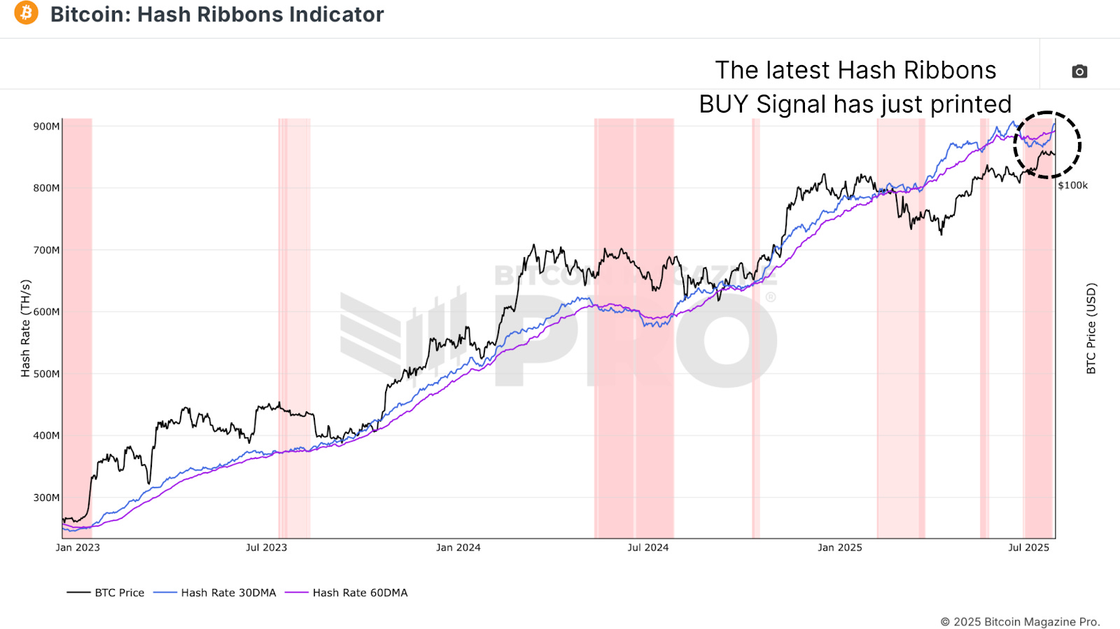 Bitcoin Miners And Market Momentum