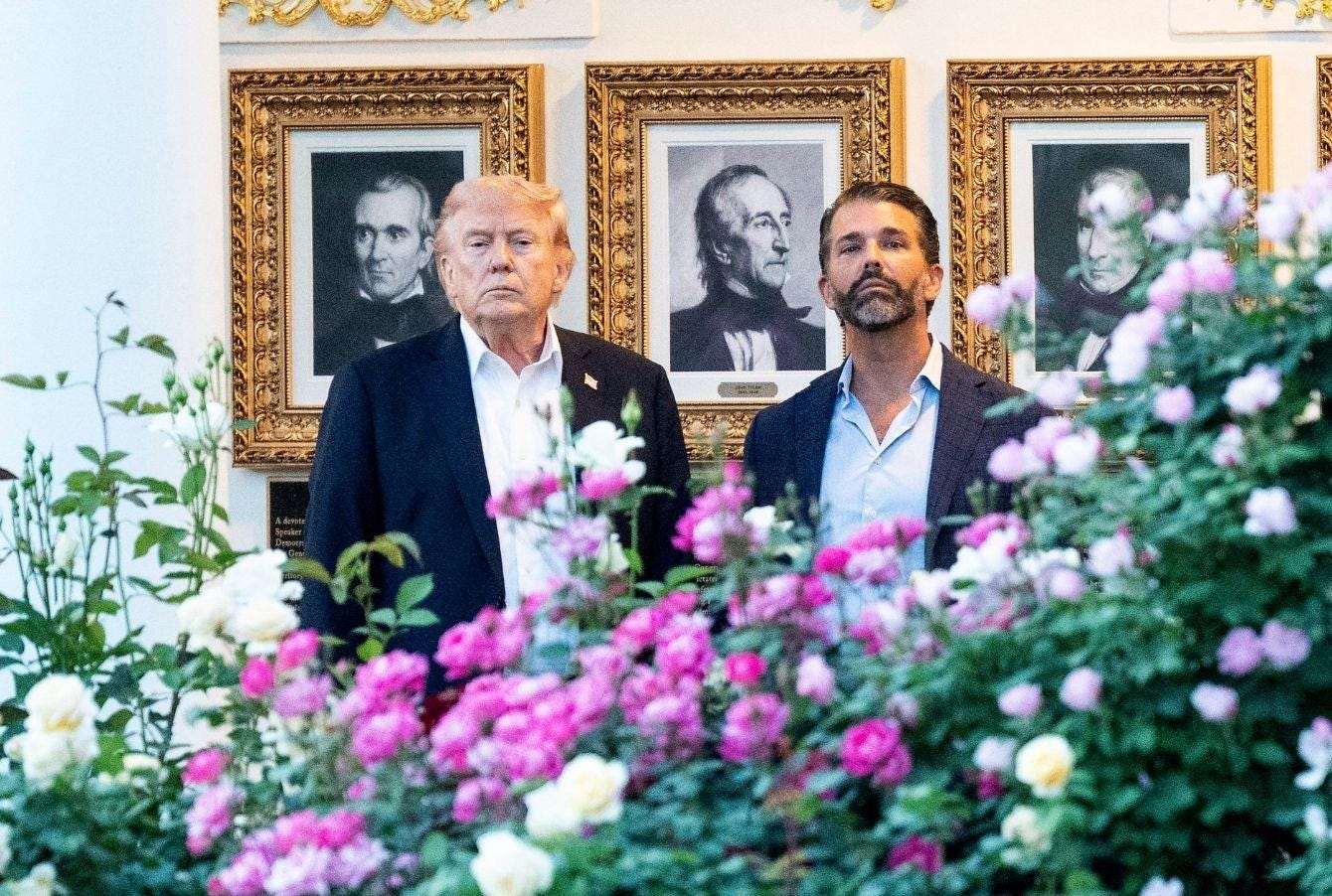 Picture of Donald Trump and Donald Trump Jr. Picture of Donald Trump and Donald Trump Jr.