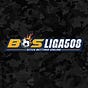 BosLiga508's avatar