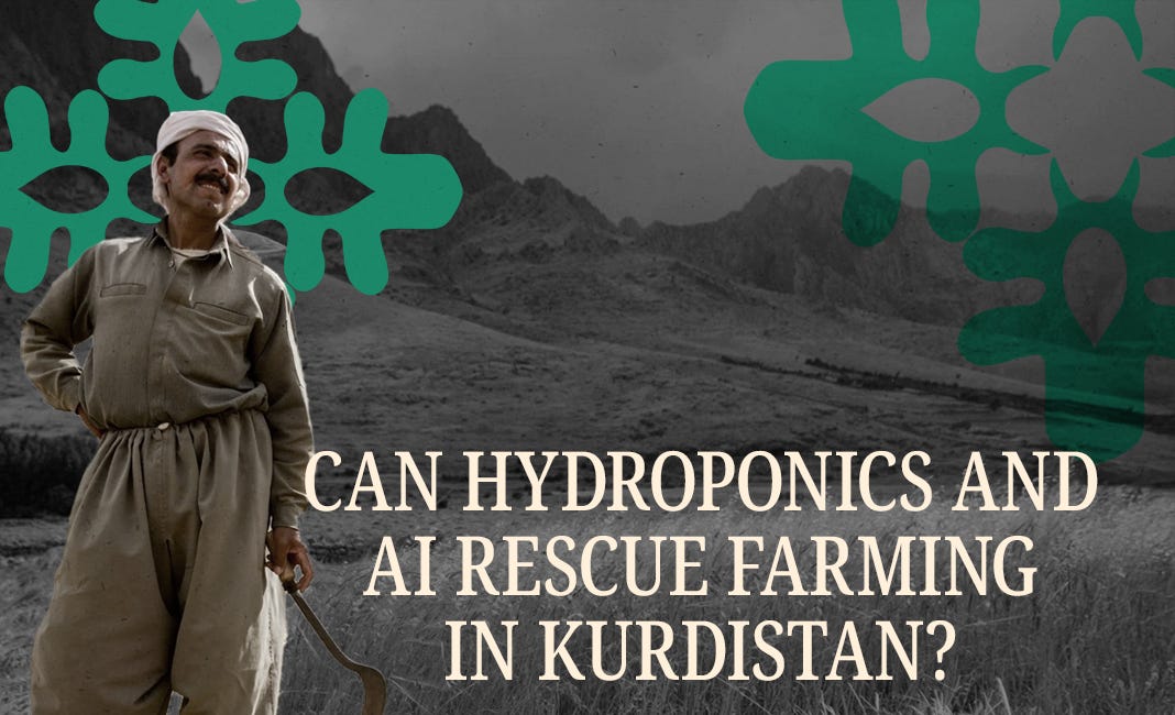 Can Hydroponics and AI Rescue Farming in Kurdistan?