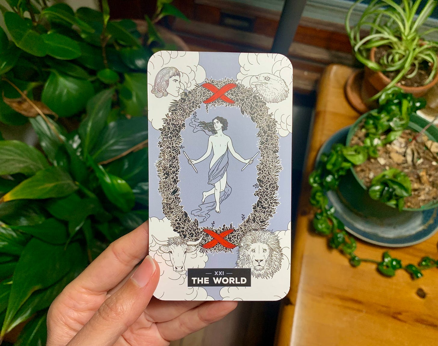 A hand is holding a tarot card, The World by Xaviera Lopez for The Change Tarot. In the image a person is dancing in the middle of a wreath tied with red ribbon. In each corner of the card are four heads, a human, eagle, lion and bull. Behind the card are houseplants in a dark morning.