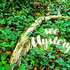 See Mystery