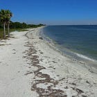 Advocates champion a family-friendly nude beach on Florida’s Gulf Coast