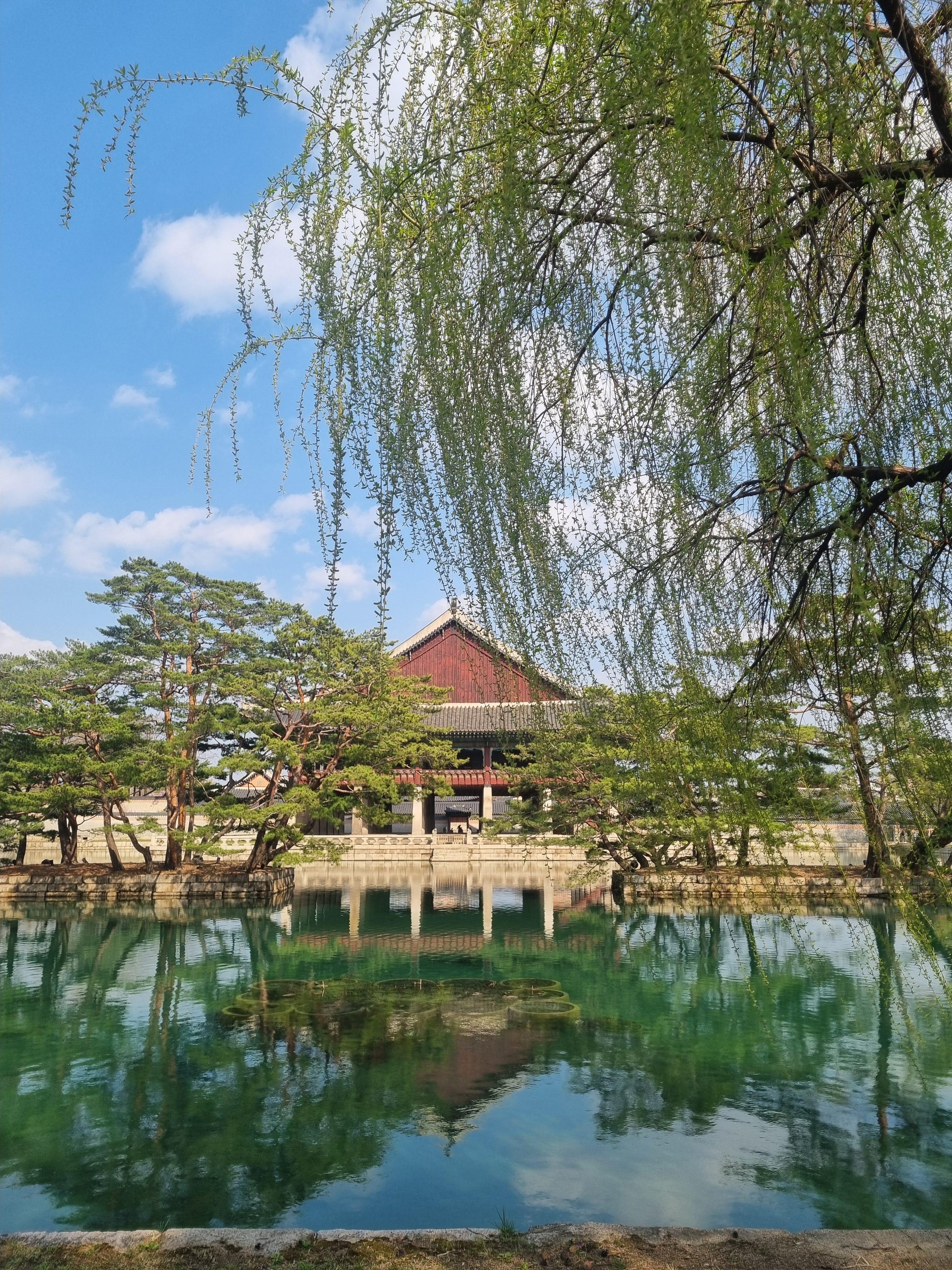 Racconti dalla Corea