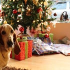 Noël 💫 : Le matin de Noël 🎅🏼