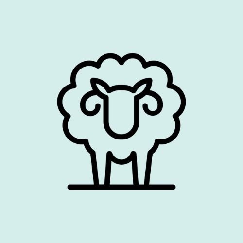 Substack profile picture for @noob