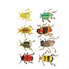 Turn your paint swatches into beautiful beetles 🪲 