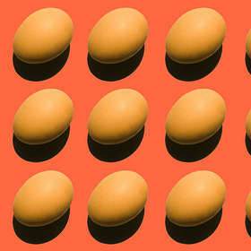 A Popular Protein Myth, and What the Science Really Says