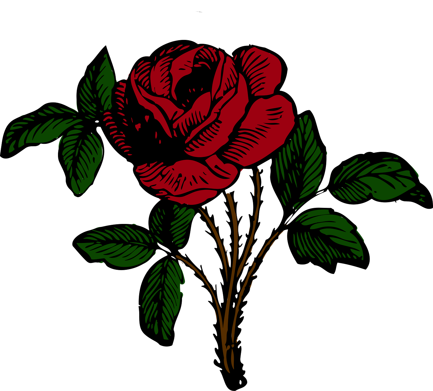 a colored illustration of a rose a colored illustration of a rose