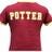 Substack profile picture for @potter