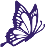 karouescreve \ud83e\udd8b✨